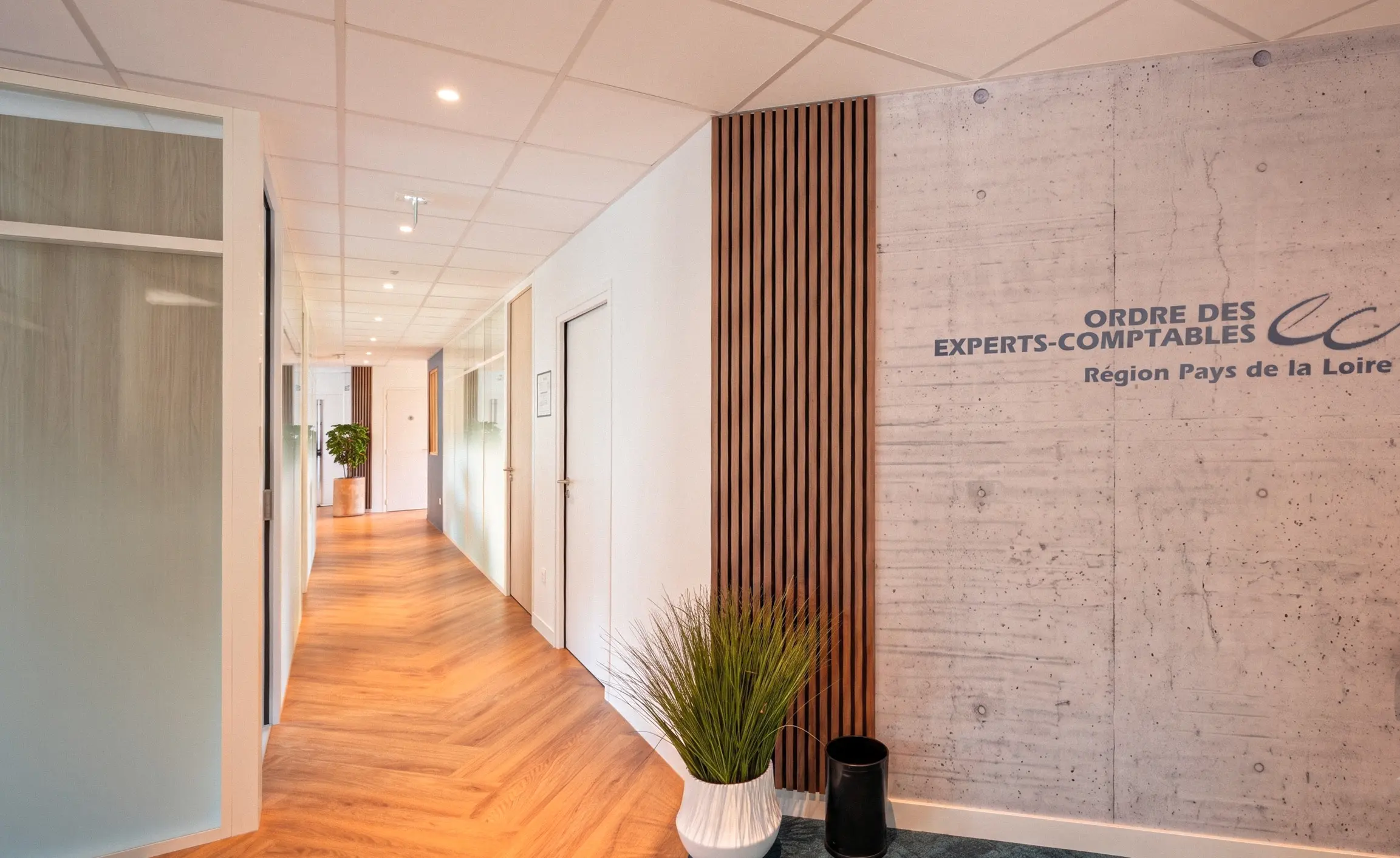 ORDEC — espace principal aménagé par Esquisse
